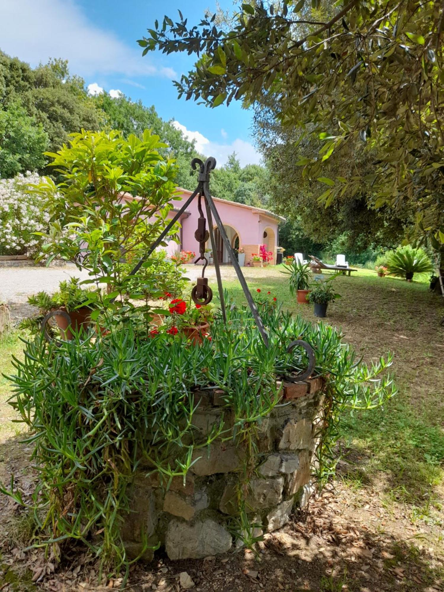 Villino Rosi Villa Monteverdi Marittimo Exterior foto